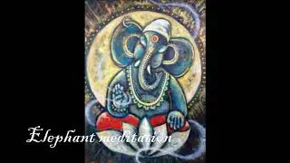 Elephant Meditation