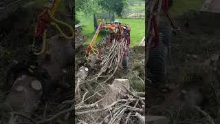 kranman T1750 fights whith big #spruce part 1