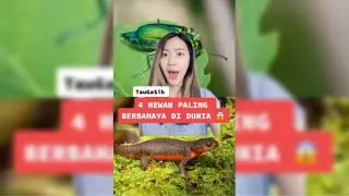 Tiktok Deasi Listiani | 4 HEWAN PALING BERBAHAYA DI DUNIA