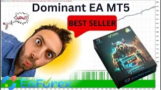 Dominant EA MT5 Review + Setting | EA Forex Store