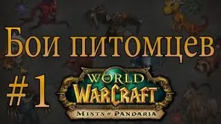 World Of Warcraft: Mists of Pandaria - Бои питомцев в релизе (Часть 1)