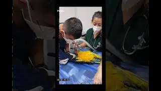 Conservaci&oacute;n, educaci&oacute;n y protecci&oacute;n de la fauna silvestre 🍃 Suscr&iacute;bete para conocer m&aacute;s 🎬