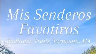 Favorite Trails | Yarmouth MA | MTB Cape Cod