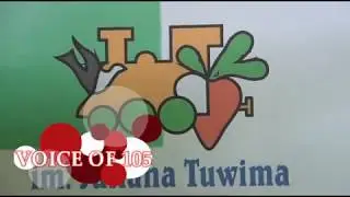 Pedepiada 2017