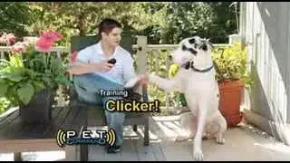 Pet Command - As Seen on TV