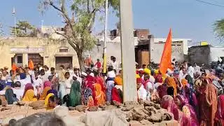 Kalash Yatra Rajasthan DJ ka sat