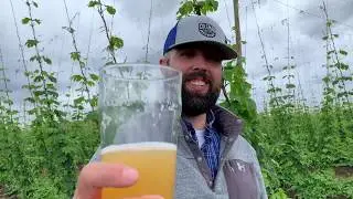 Our Favorite Beers Part I: Sky Kraken by Fremont Brewing
