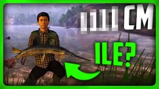wszystkie ryby z RZEKA NEHERRIN | #8 FISHING PLANET