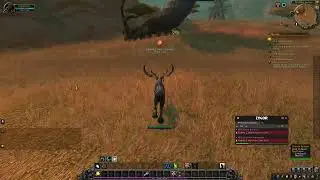 World of Warcraft | Quest | The Zhevra | Northern Barrens