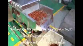 dates processing machine