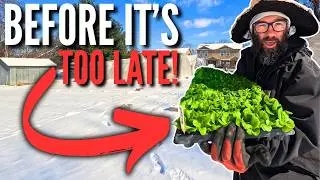 DON'T WAIT! Start These 10 Crops In February (For Huge Harvests)