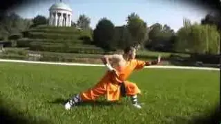 shaolin kung fu -  shi miao chan - Vicenza