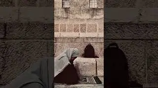zakhum❤️&zwj;🩹
