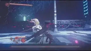 NINJA GAIDEN 4 D.D.O commander MN High Karma Fight 17k+