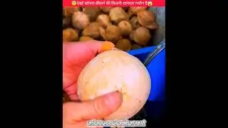 कमाल की टेक्नोलॉजी 🥱| Coconut Husk Removal😱 | #shorts #technology #facts #viral #video