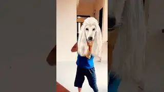 #Lakdi ki kati pe 🐴🐴🐴#shartsfunny 😋😋😋#viralvideos 🐴🐴🐴#shortsfeed 😋😋😋#viralreels #viralshort #youtube