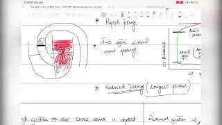 Cardiovascular system lecture 14 pressure volume loop and cardiac cycle 