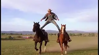 Standing on TWO Horses Goes Wrong 😳 (Single Shot)