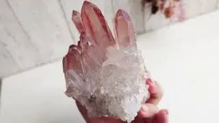 【CPL18】レムリアン