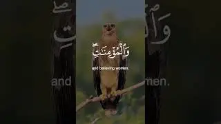 #  Dowa