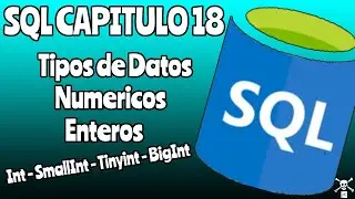 SQL Capitulo 18  Tipo de Datos Int SmallInt TinyInt BigInt