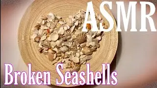 Broken Seashells | Slow ASMR for You | No Talking