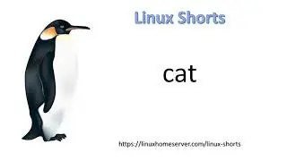 The Linux cat command
