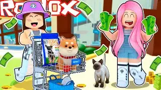 Roblox - CONSTRUI UM MEGA PET SHOP (Pet Salon Tycoon)