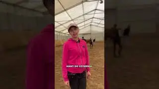 Dołącz do akademii Horse Agility