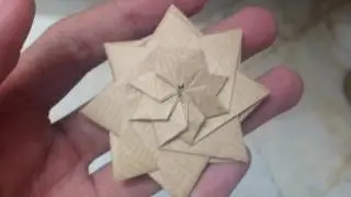 Origami Octostar Demo (Carlson Choo)