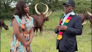 Adaptability of Ankole breed to Zimbabwean Climate with the PRESIDENT OF ZIMBABWE CDE ED MNANGAGWA