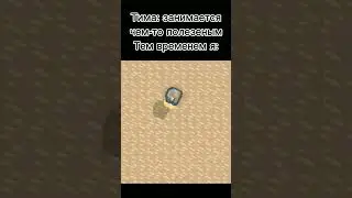 meme 