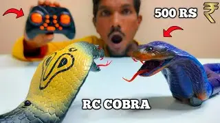Rc Snake King Cobra & Anaconda Unboxing