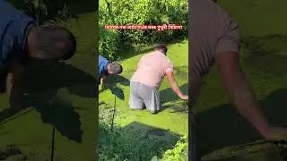 গাওঁৰ ধুনীয়া ছোৱালী 💕💕💕💕💕😍 #shorts #shortsvideo #assamese #assameseshorts
