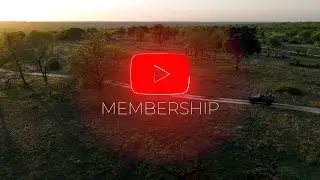 Членство в YouTube WildEarth