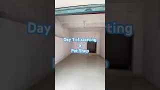 Day 1 of starting a Pet Shop
