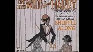 Jazz Age Marcus Garvey New Negro Harlem Ren