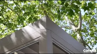 Alba 2023