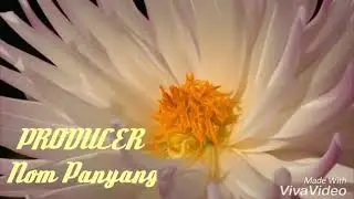 EDA PALOH SONG,LONGE KO YAYANG AI.