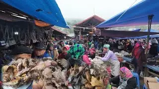 Nình Còi TiVi, Đi Chợ Phiên Vùng Cao Tây Bắc Chợ Phiên Ở Vùng Cao Dịp Cuối Năm