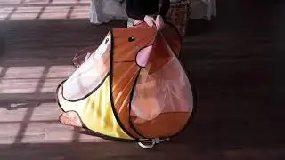 26 68108