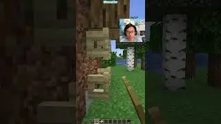 Minecraft Fake Tree (Rock That Body)