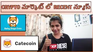 Latest Crypto News About Baby doge Coin And Cate Coin Explained in Telugu || Mumbai Pilla