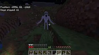The One Who Watch Kill Me In My Minecraft Survival World