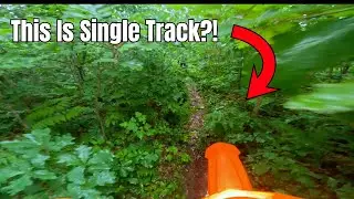 First time on single track ⎸ Beginner Off-road Adventure