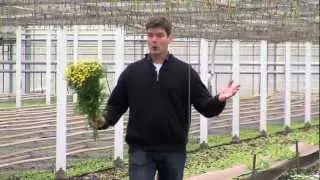 Uitnodiging jaarbijeenkomst LLTB vakgroep Tuinbouw Bedekte Teelten