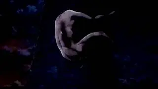 My Hero Academia Fandom - Anime Uproar's intro