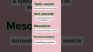 Development of eye 👀/optometry/easy learning #education #eyedoctor