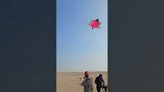 6.5 Teera Slaara Patang Flight-Amazing Patang Flight-Paicha- #bassant #kite #ahmad #kitechannel