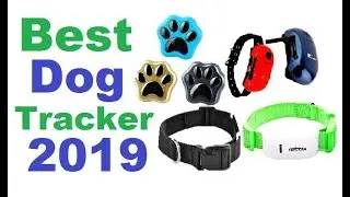 Best Dog Tracker| Best Dog Tracker 2019 | Best Dog Tracker GPS ||